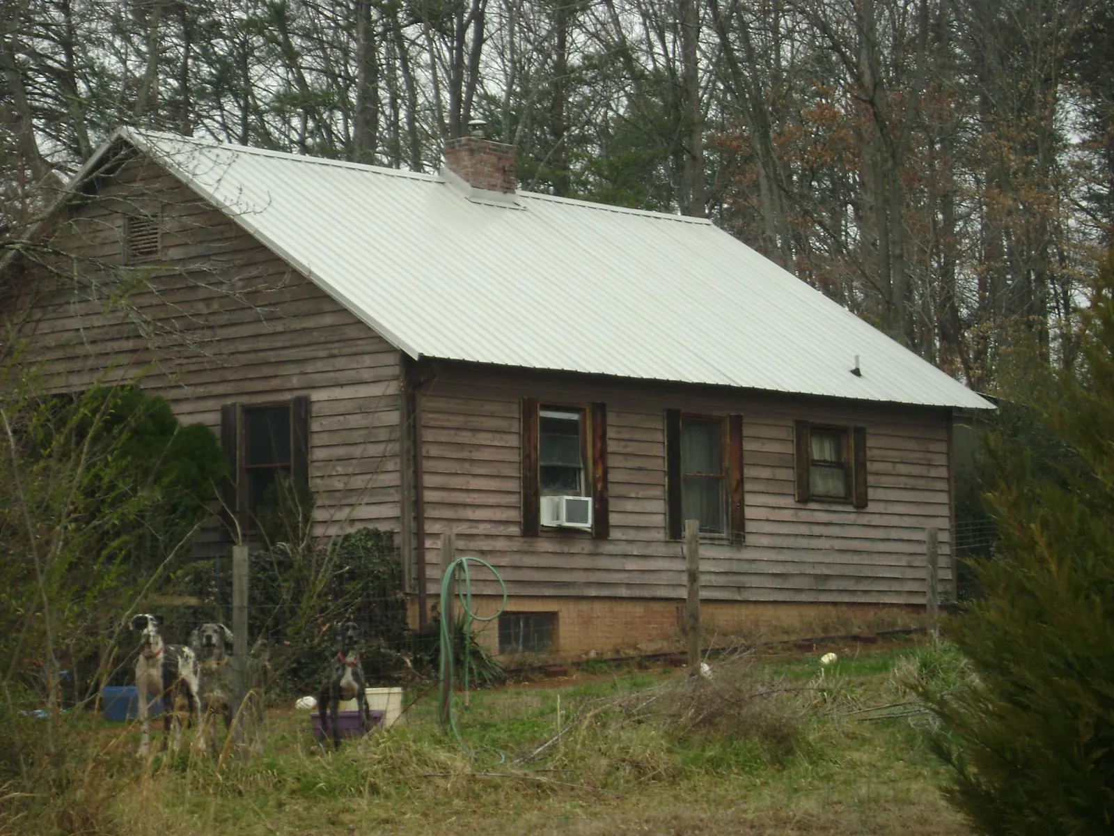 White metal roof on an old wood sided farmhouse, from a Asphalt Shingle Roof Repair job in Freeburg